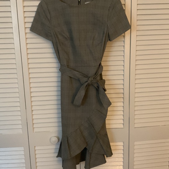 NWT size 8 P Calvin Kline dress - Picture 4 of 6